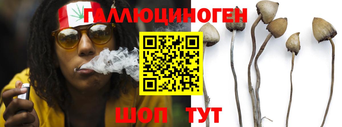 Галлюциногенные грибы мицелий Можайск
